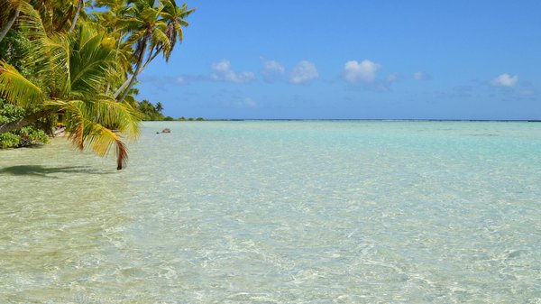 Tout ce que vous devez savoir sur les assurances pour la location de châteaux