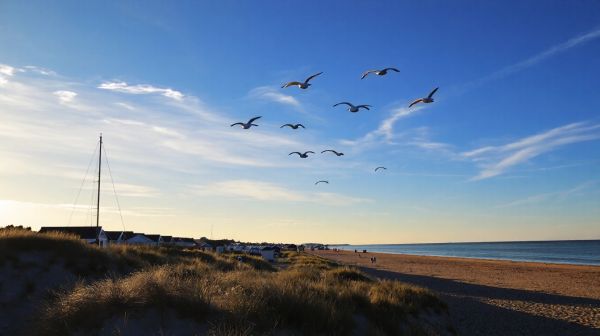 Top 5 raisons de choisir Wimereux pour des vacances marines